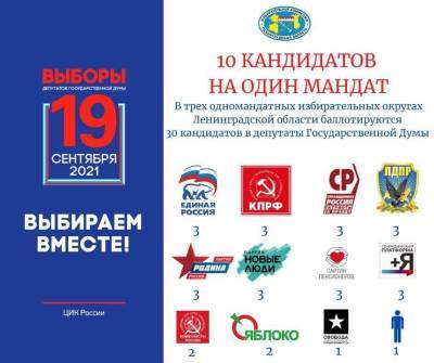 Стали известны итоги выдвижения кандидатов в депутаты Госдумы в Ленобласти