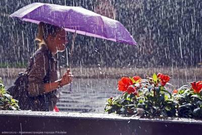 28 и 29 июля в Рязанской области ожидаются дожди с грозами