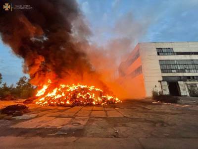 В Лисичанске на территории цеха завода РТИ произошел пожар (фото)