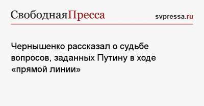 Чернышенко рассказал о судьбе вопросов, заданных Путину в ходе «прямой линии»