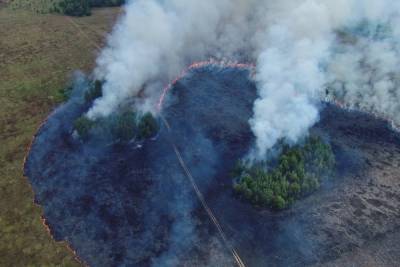 В рязанском селе Мыс Доброй Надежды по вине человека сгорело 6,5 гектара сухой травы