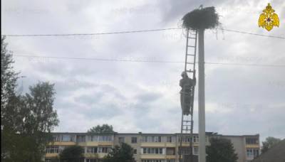Пожарные спасли молодых аистов в Тверской области