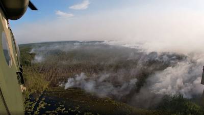 Лесные пожары в Карелии нарастили "встречным отжигом" до 15,4 тыс. га