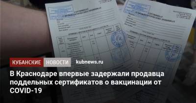 В Краснодаре впервые задержали продавца поддельных сертификатов о вакцинации от COVID-19