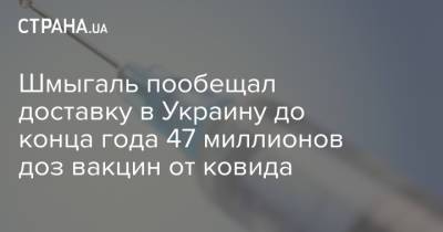 Шмыгаль пообещал доставку в Украину до конца года 47 миллионов доз вакцин от ковида