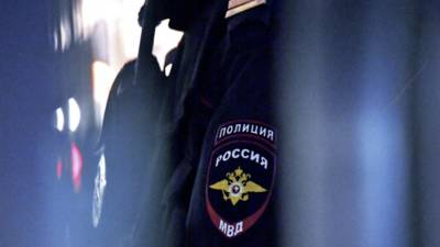 В МВД России отметили рост числа конфликтов с участием иностранцев
