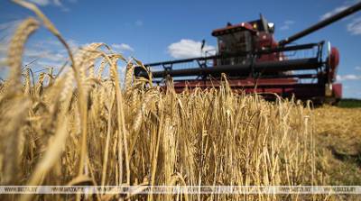 В хозяйства Могилевской области поступит 50 новых зерноуборочных комбайнов