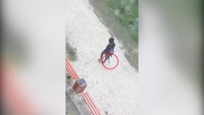 В Екатеринбурге разгуливающий с ружьем мужчина попал на видео