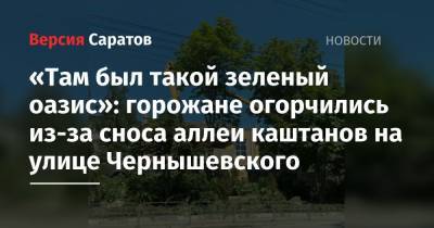 «Там был такой зеленый оазис»: горожане огорчились из-за сноса аллеи каштанов на улице Чернышевского