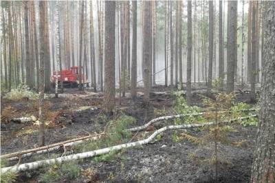 Хорошие новости из Кологрива: лесной пожар, похоже, удалось локализовать