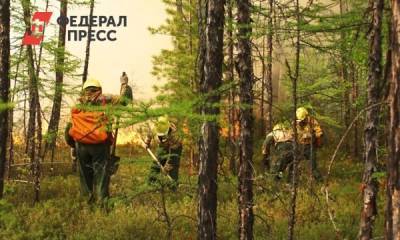 В Карелии оказались не готовы к лесным пожарам: причины
