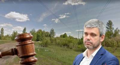 Бортничи или Гнедин: Киевсовет пытается отвоевать в судах 2,7 га “потерянной” земли