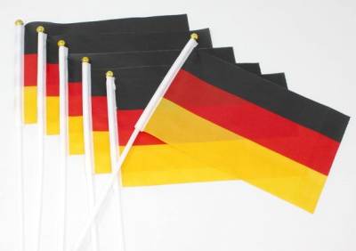 «Лучше поднять радужный флаг»: Берлин отказал в раздаче школьникам флажков ФРГ