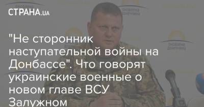 "Не сторонник наступательной войны на Донбассе". Что говорят украинские военные о новом главе ВСУ Залужном