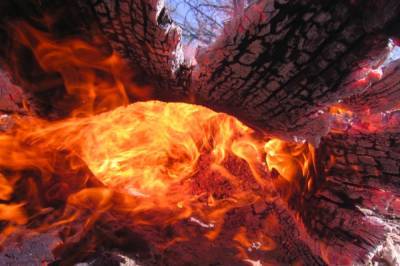 В Анталье вспыхнул сильный лесной пожар