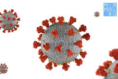 Роспотребнадзор спрогнозировал сроки окончания пандемии коронавируса