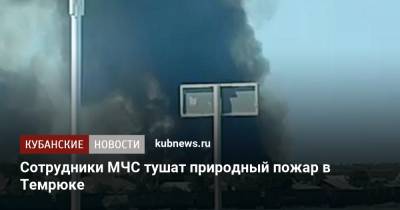 Сотрудники МЧС тушат природный пожар в Темрюке