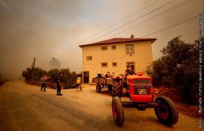В Анталье вспыхнул масштабный лесной пожар