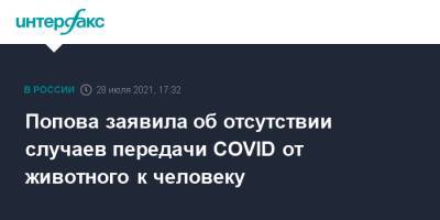 Попова заявила об отсутствии случаев передачи COVID от животного к человеку