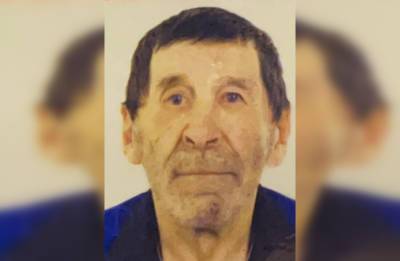 Под Уфой пропал без вести 72-летний Дамир Ахметшин