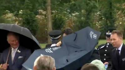 Борис Джонсон не смог справиться с зонтом и рассмешил принца Чарльза