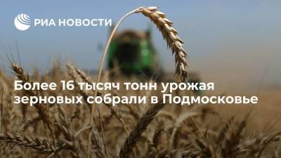 Более 16 тысяч тонн урожая зерновых собрали в Подмосковье