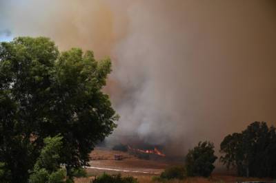 Масштабные пожары угрожают курортным зонам в Анталии и мира