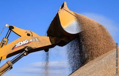 Власти Удмуртии призвали не вывозить зерно из региона из-за дефицита