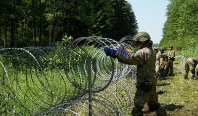 Украина поделится с Литвой колючей проволокой для белорусской границы