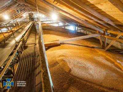 Правоохранители подозревают экс-главу филиала зерновой госкорпорации в растрате почти 15 млн гривен