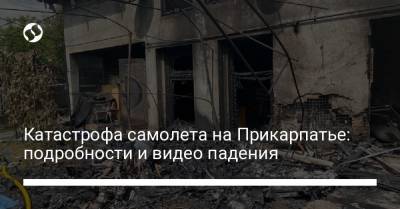 Катастрофа самолета на Прикарпатье: подробности и видео падения