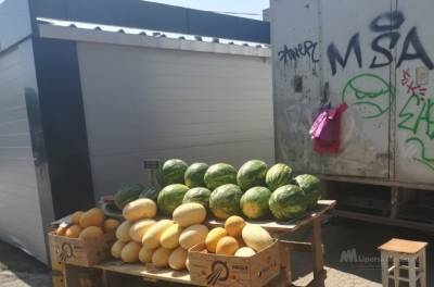 Липчан призывают отказаться от покупки арбузов на стихийных рынках