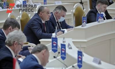 Политолог оценил петербургский закон о наказах избирателей: популизм с попыткой сохранить власть