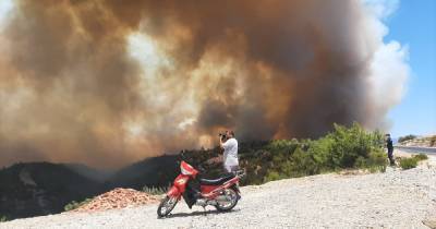 Авиация, тяжелая техника и почти полтысячи спасателей: как тушили пожары в Турции (фото)