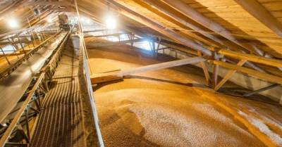 Экс-директора филиала ГПЗКУ уличили в воровстве и продаже зерна на 15 млн грн