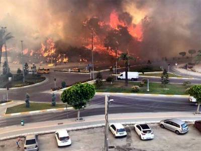 Более 50 пострадавших: Анталья охвачена лесными пожарами