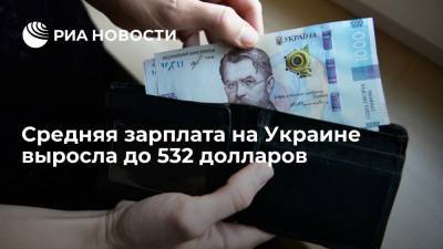 Средняя зарплата на Украине выросла до максимума с декабря 2020 года, достигнув 532 долларов