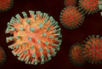 ВОЗ оценила опасность выявленного в России штамма коронавируса