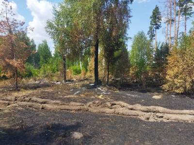 В лесах региона за неделю произошло два пожара