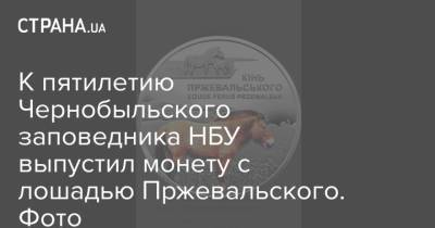 К пятилетию Чернобыльского заповедника НБУ выпустил монету с лошадью Пржевальского. Фото