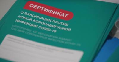 В России за июль заблокировали 934 сайта с фейковыми ковид-справками
