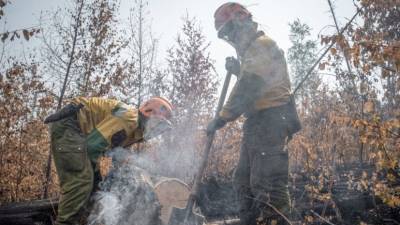 В России за сутки потушили 81 лесной пожар