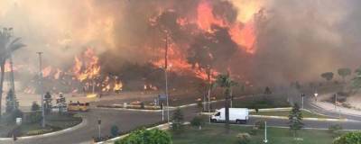 53 человека пострадали при крупном лесном пожаре в Анталье