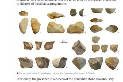 В Марокко нашли старейший каменный топор возрастом 1,3 миллиона лет