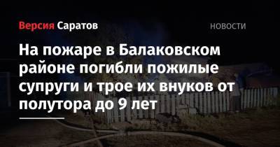 На пожаре в Балаковском районе погибли пожилые супруги и трое их внуков от полутора до 9 лет