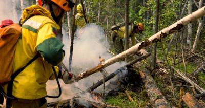 В Сибири применяют взрывчатку для защиты от лесных пожаров