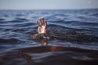 Решили переплыть: на Мойке утонул парень, его брата спасли — видео