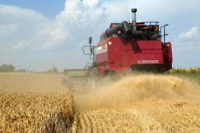 Курганские аграрии, несмотря на засуху, смогут собрать около 1 млн тонн зерна