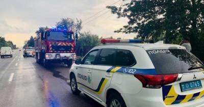 Падение самолета на Прикарпатье: полиция открыла уголовное дело (ФОТО)