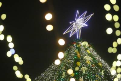 В Киеве заметили украшенную новогоднюю елку: в сети опубликовали фото